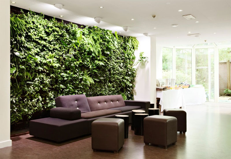 Description: green walls decorating houseplants