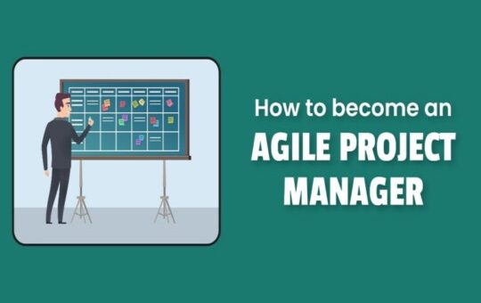 Agile project manager