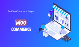 WooCommerce Custom Stock Status plugin