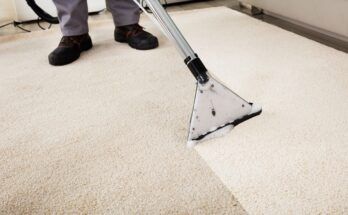 Leather Carpet Cleaning