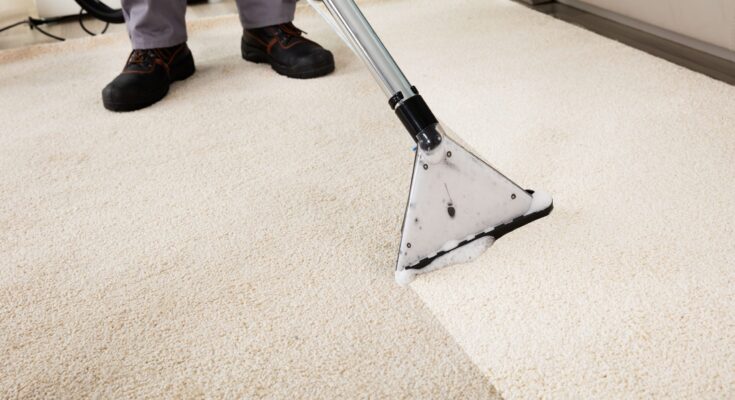 Leather Carpet Cleaning