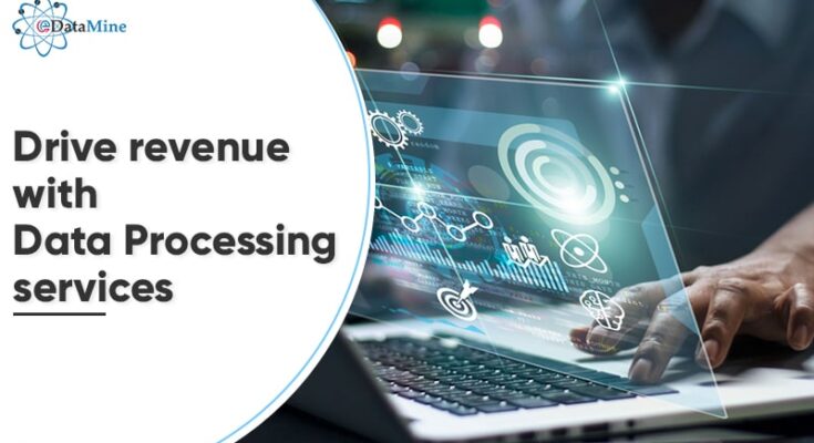 Data processing services