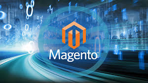 magento programmer