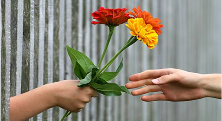 Gift flowers