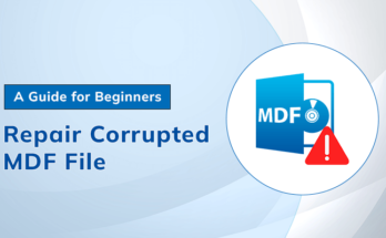 repair corrupted MDF file