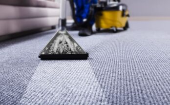 Deep Carpet Cleaning