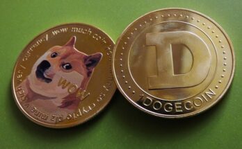 Dogecoin Crypto