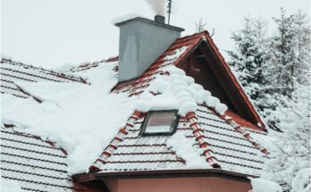 Roof Snow Guard