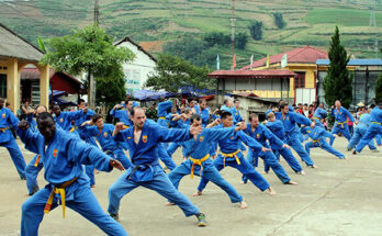 Vietnam martial arts