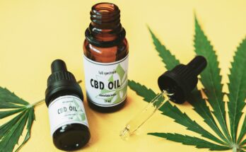 CBD Oil